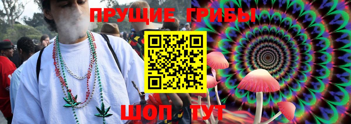 Псилоцибиновые грибы прущие грибы  Галлюциногенные грибы Cubensis  Щёлково  Вход с VPN 