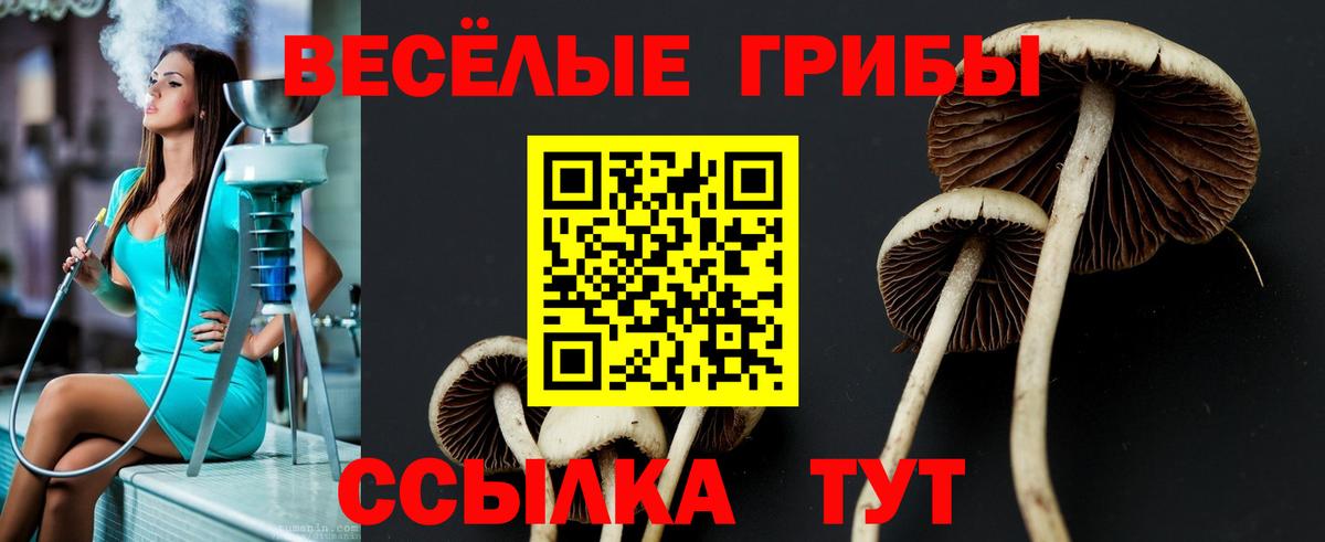 Гашиш  Щёлково  МЕФ кристаллы  Марихуана  Вход с VPN  ГАШ 